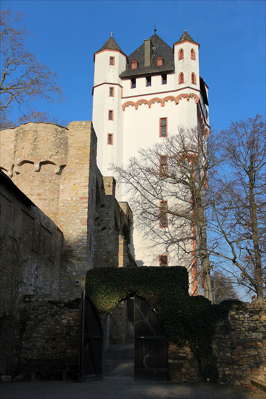 Schloß Eltville