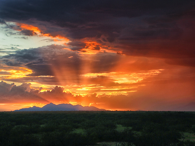 Santa Rita Mountains