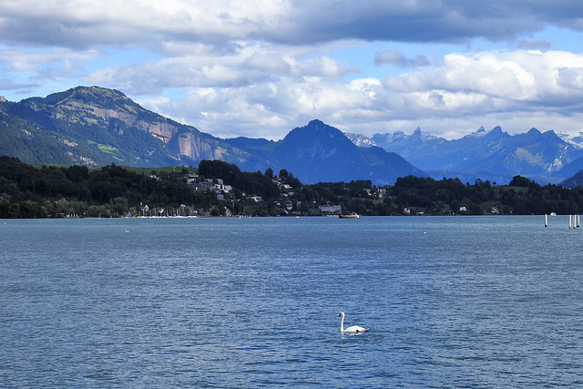 Vierwaldstättersee