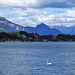 Vierwaldstättersee