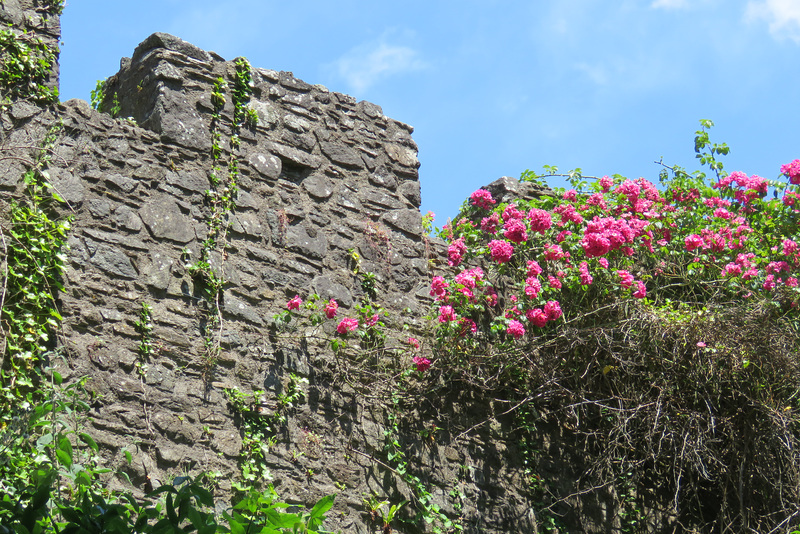 trematon castle (43)