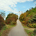 Weg zum Gipfel (Halde Hoppenbruch, Herten) / 15.10.2018