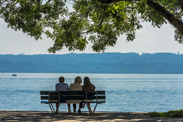 au lac de Neuchâtel (© Buelipix)