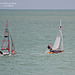 Club sailing in Seaford Bay 1 8 2021