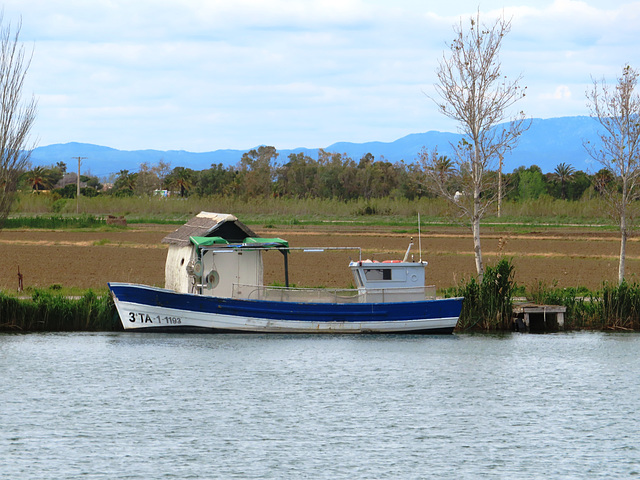 Delta del Ebro, 6