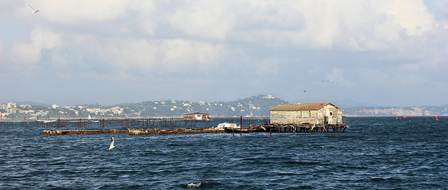 Toulon (83) 10 octobre 2014. Traversée de la rade par la navette maritime La Seyne/ Les Sablettes - Toulon.