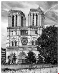 Cathédrale Notre-Dame de Paris