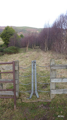 The chained pedestrian gate - there must have been more than fifty of them on the Tormore to Grantown section of the Speyside Way