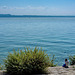 au lac de Neuchâtel (© Buelipix)