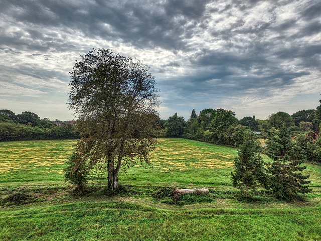 Late Summer Countryside