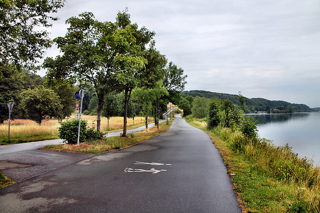 Radweg am Kemnader See (Bochum-Stiepel) / 13.07.2023