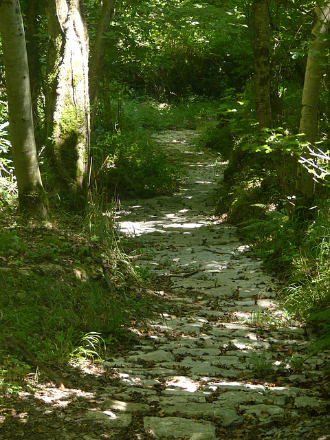 20240802 -05 Lavogne Blandas - rando Tunnels Alzon (106)