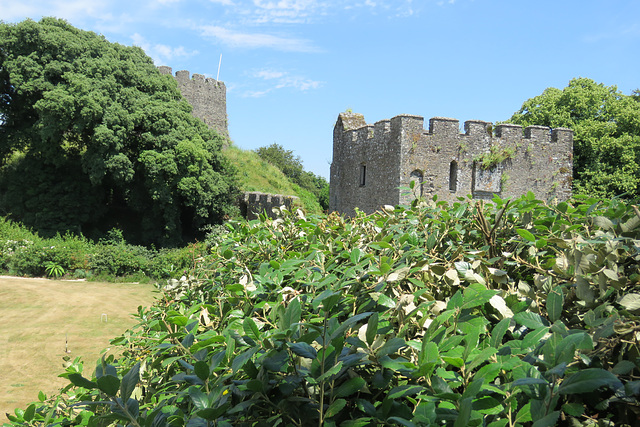 trematon castle (41)