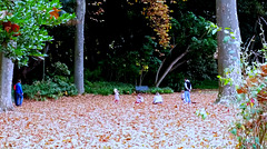 children playing in the leaves