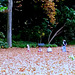 children playing in the leaves