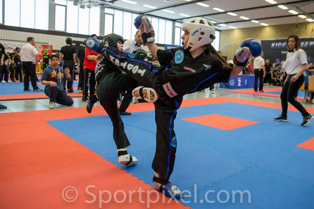 ger-open-0147 ger-open-0147