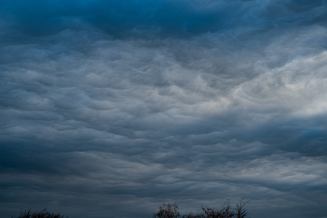 Another one from the day the clouds went Steel Blue