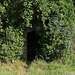 Großkonreuth, Feldkapelle (PiP)