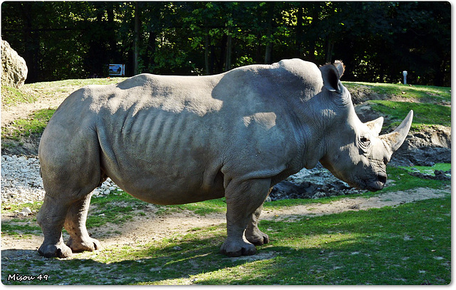 ZOO de BEAUVAL