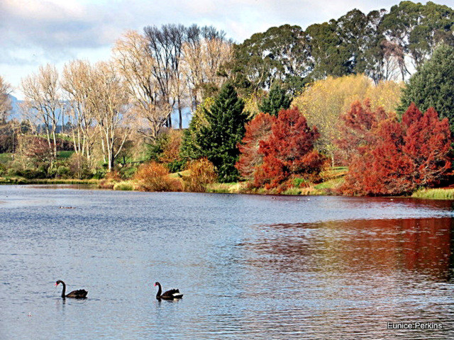 Lake Moana-nui