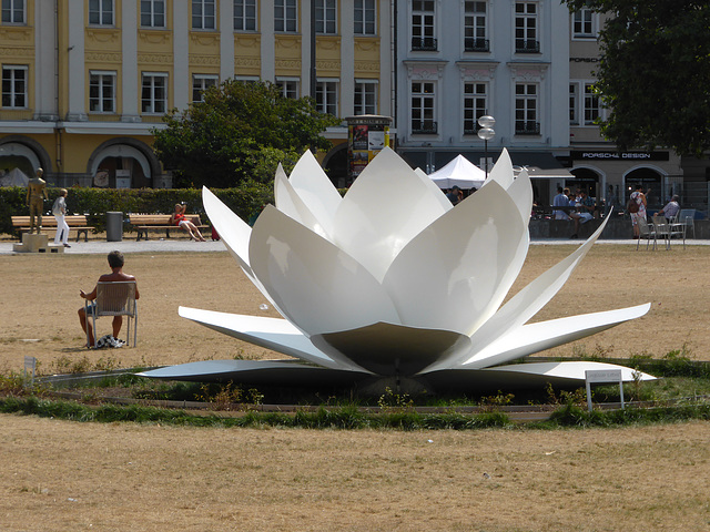 Weißer Lotus