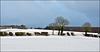 First snow of the winter, East Ayton, North Yorkshire