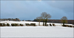 First snow of the winter, East Ayton, North Yorkshire