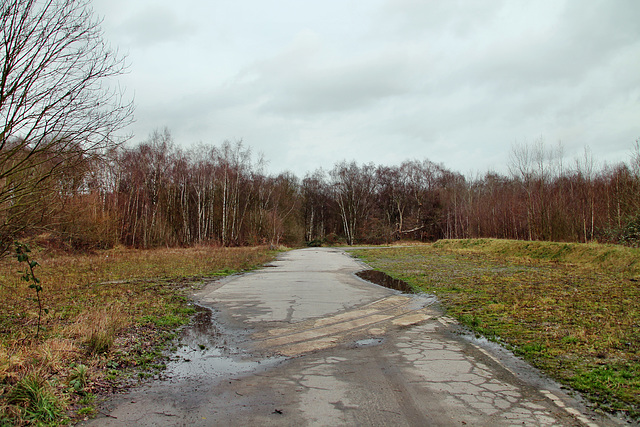 Zeche Emscher-Lippe 3/4, alte Werksstraße (Datteln) / 5.01.2018