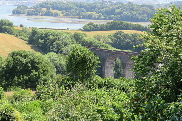 trematon castle (40)