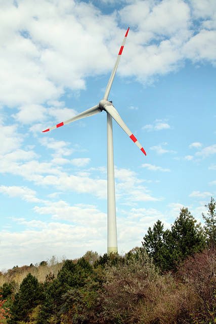 Windrad (Halde Hoppenbruch, Herten) / 15.10.2018