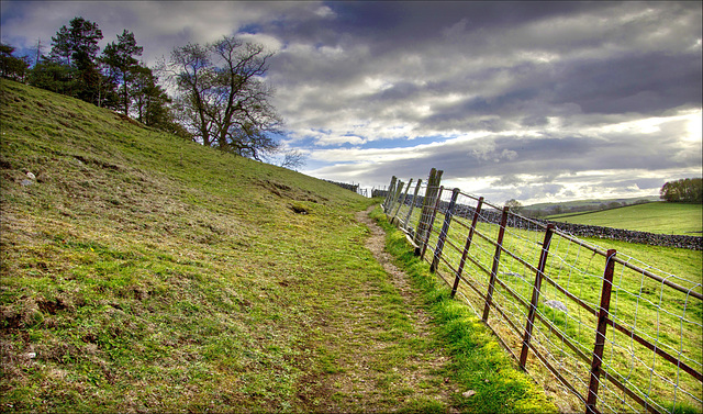 Happy Fence Friday