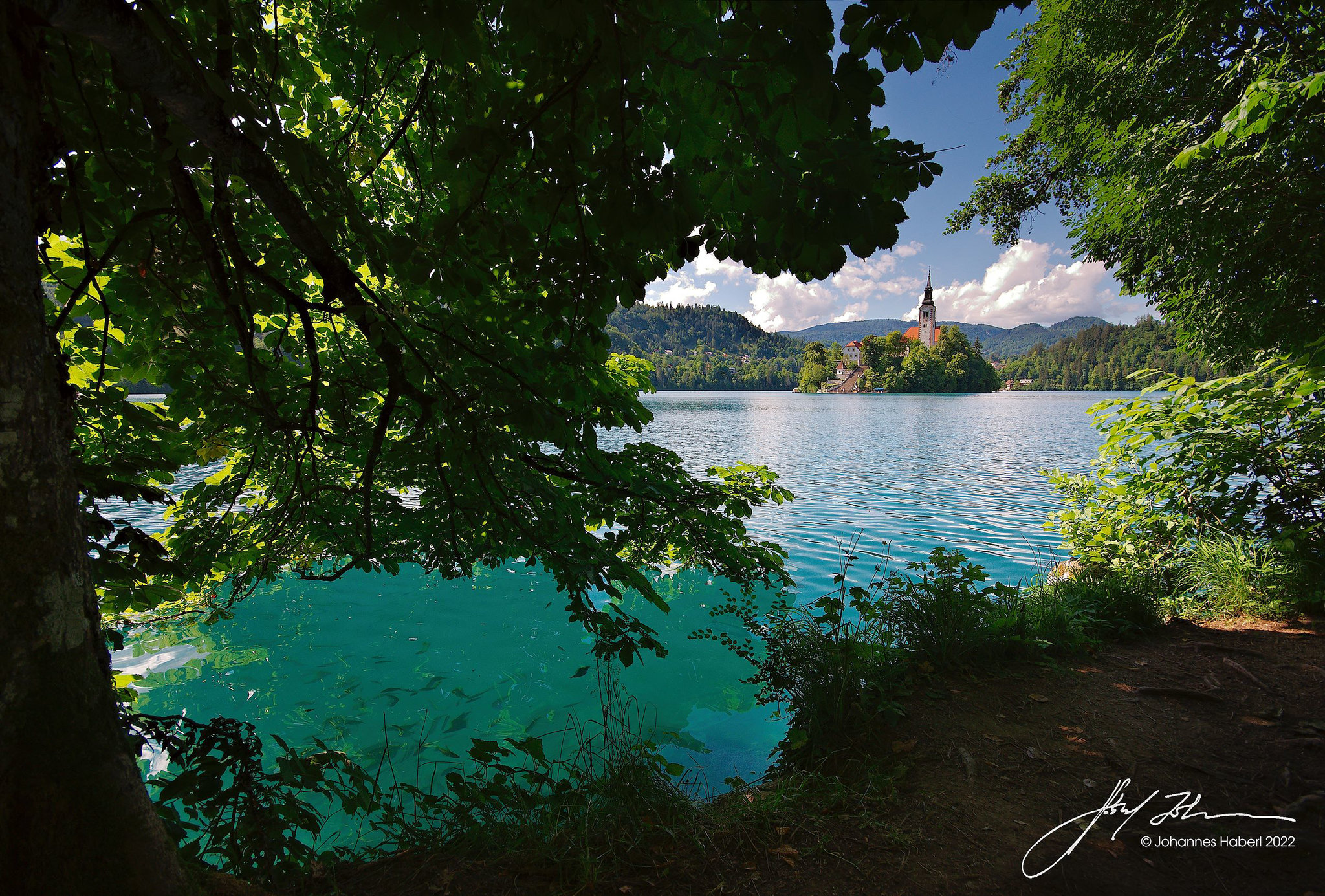 Blick auf die Insel - Fische im Vordergrund