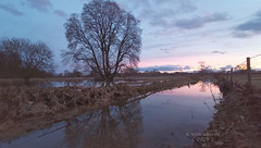 2023, Troisdorf - Siegaue nach Hochwasser an einem späten Dezembernachmittag