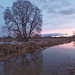 2023, Troisdorf - Siegaue nach Hochwasser an einem späten Dezembernachmittag