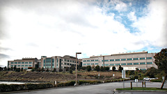 Genentech, South Sanfancisco, CA