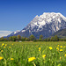 Frühling im Ennstal