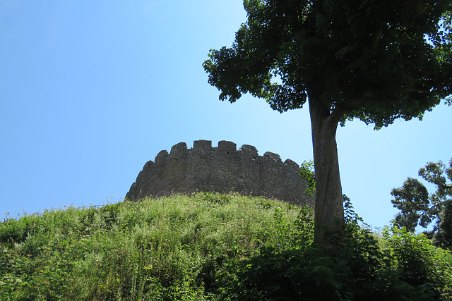 trematon castle (39)