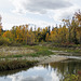 Votier's Flats, Fish Creek Park