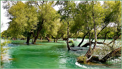 Turchia : siamo al 'Parco delle rapide' - Manavgat Salalesi -