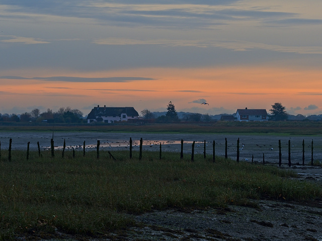 Mudflats at Dusk