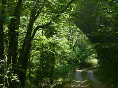 20240802 -05 Lavogne Blandas - rando Tunnels Alzon (103)