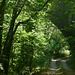 20240802 -05 Lavogne Blandas - rando Tunnels Alzon (103)