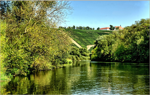Main bei Nordheim