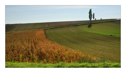 Spätsommer