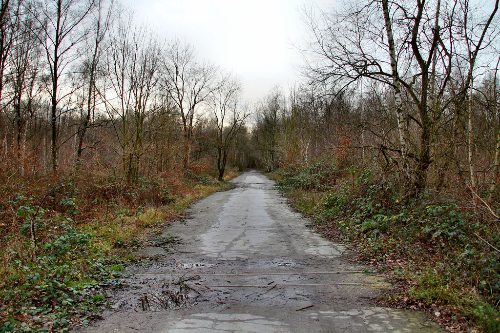Ehemaliges Zechengelände Emscher-Lippe 3/4 (Datteln) / 5.01.2018