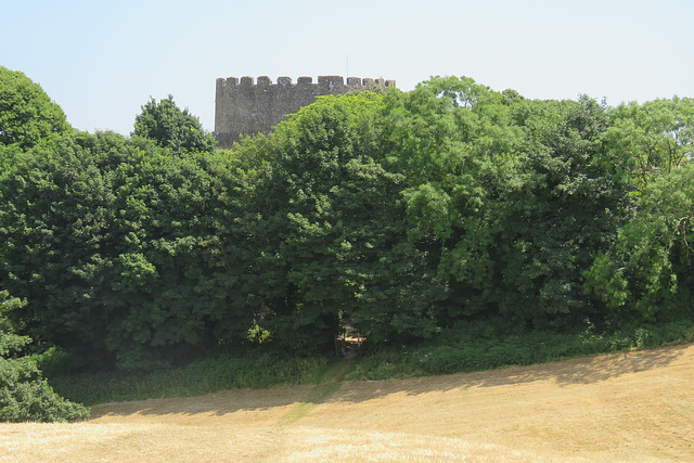 trematon castle (38)