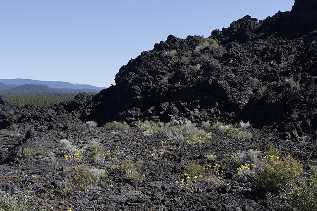 Lava Lands