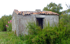 (Trés) Ancienne publicité murale. (Ile de Ré. été 2021)