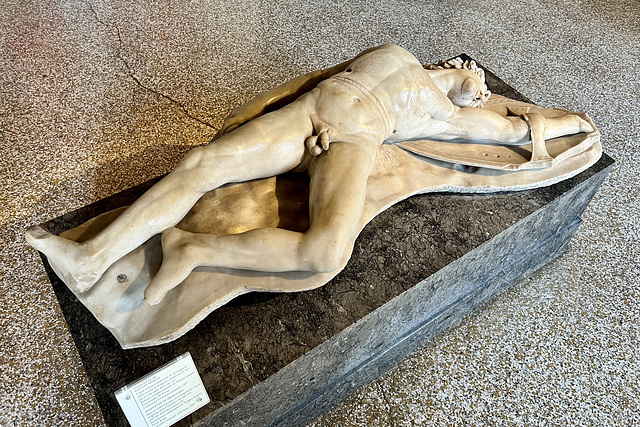 Venice 2022 – Museo Correr – Dead Gaul