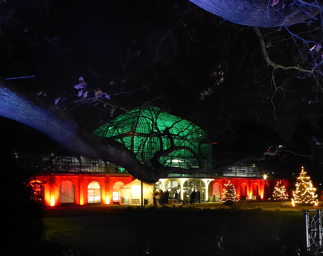 Das Palmenhaus im Frankfurter Palmengarten